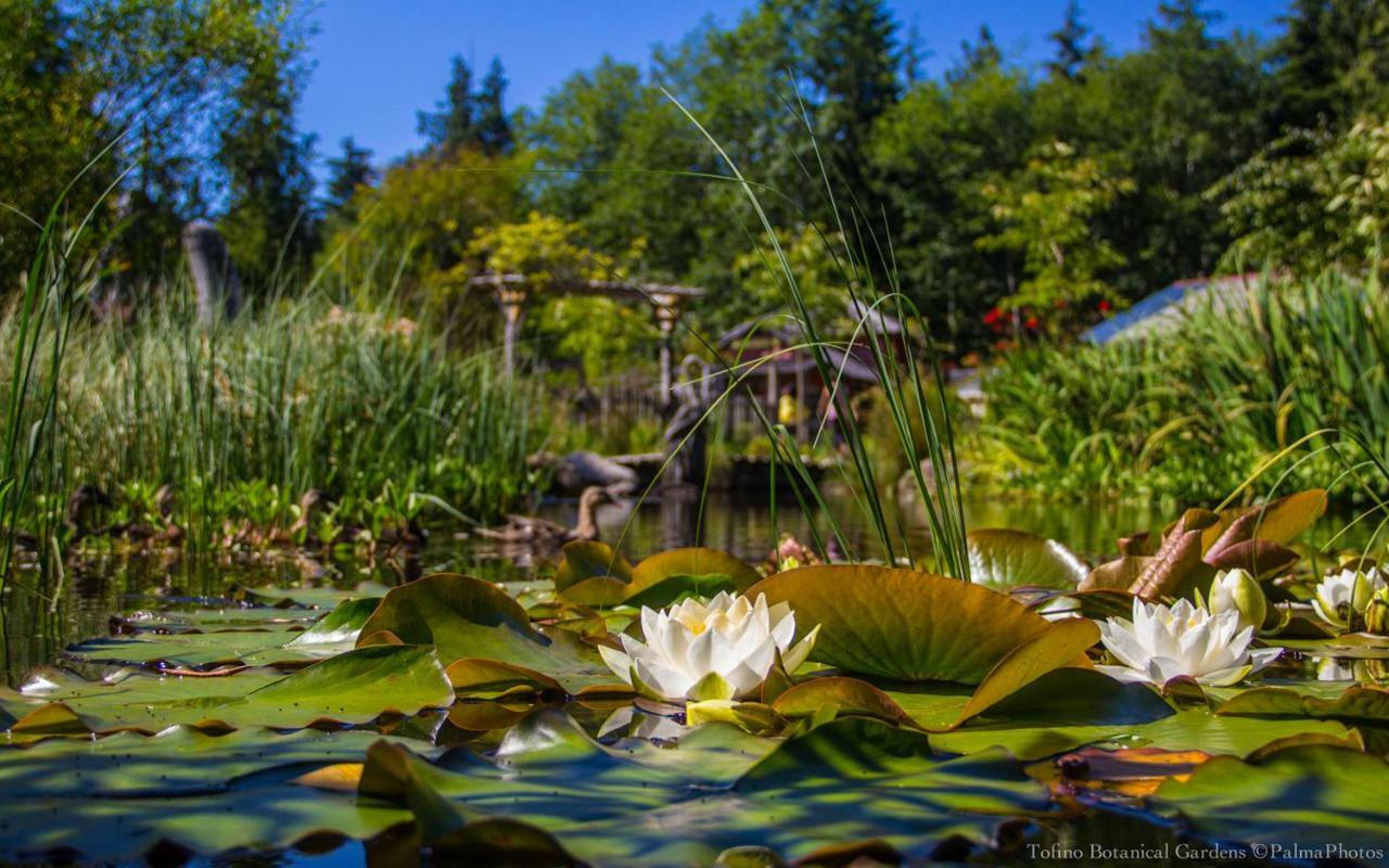 Ecolodge - Tofino Eksteriør bilde